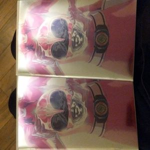 Mighty Morphin Power Rangers 42